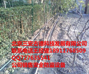 北京振動(dòng)光纖、石家莊泄漏電纜與山西工廠電子圍欄 現(xiàn)代安防技術(shù)的地域應(yīng)用與融合